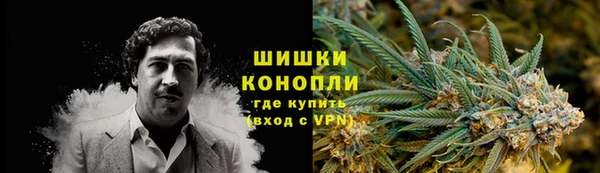 spice Алексин