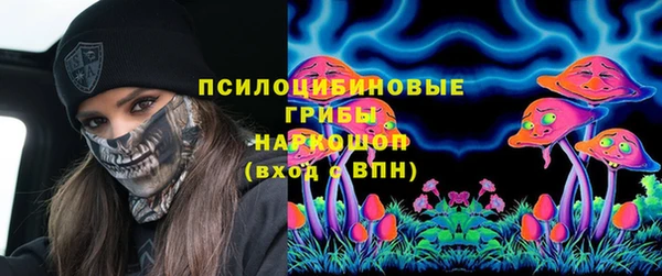 a pvp Алзамай