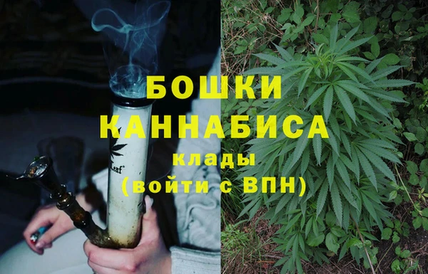 хмурый Каменногорск