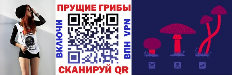 Псилоцибиновые грибы MAGIC MUSHROOMS  Петропавловск-Камчатский 